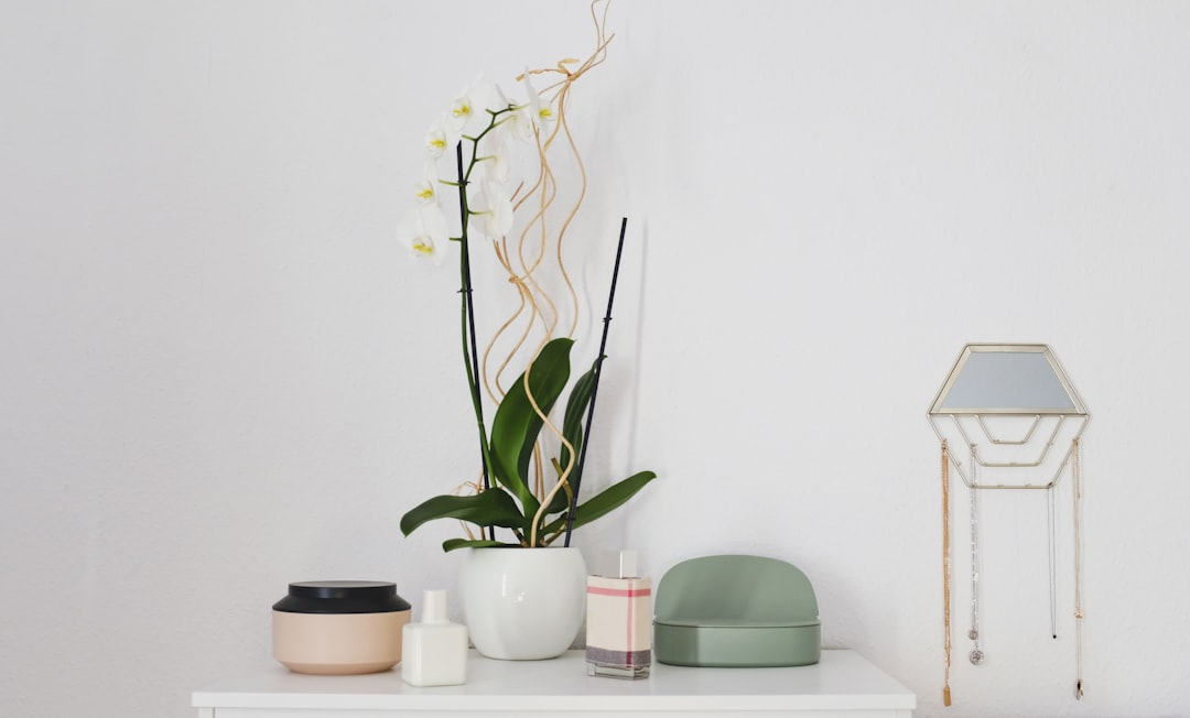 services-02 green-potted-plant-on-table-12cgsu9hw0